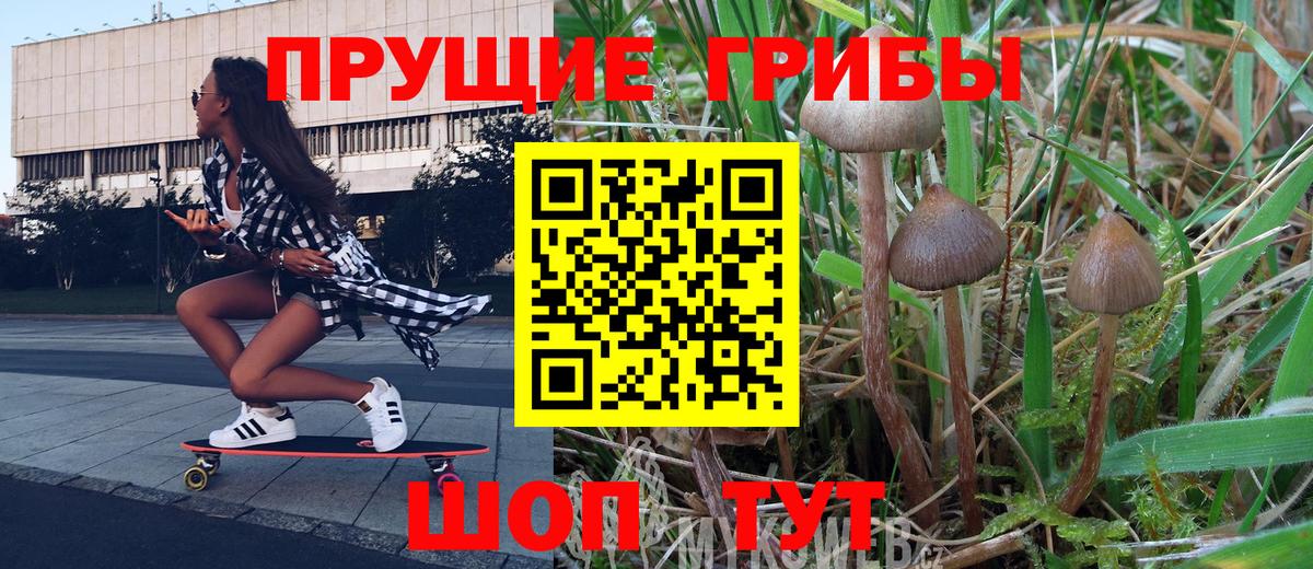Тавда  Псилоцибиновые грибы прущие грибы  Вход с VPN 