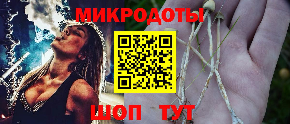 Галлюциногенные грибы Cubensis Тавда